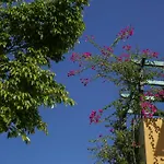 沙滩别墅和公寓酒店 公寓式酒店