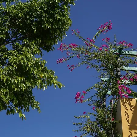 Sandy And Aparthotel